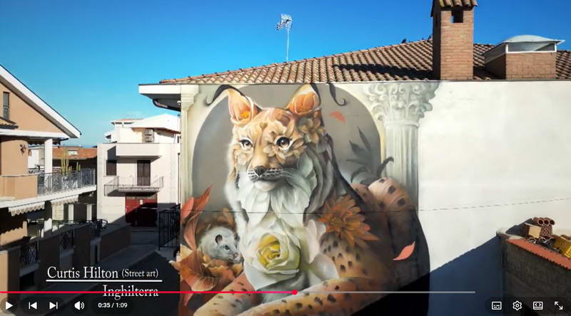Curtis Hilton - Stramurales 2025
